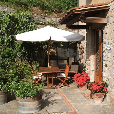 Casa Ciaccheri Gaiole in Chianti Oda fotoğraf